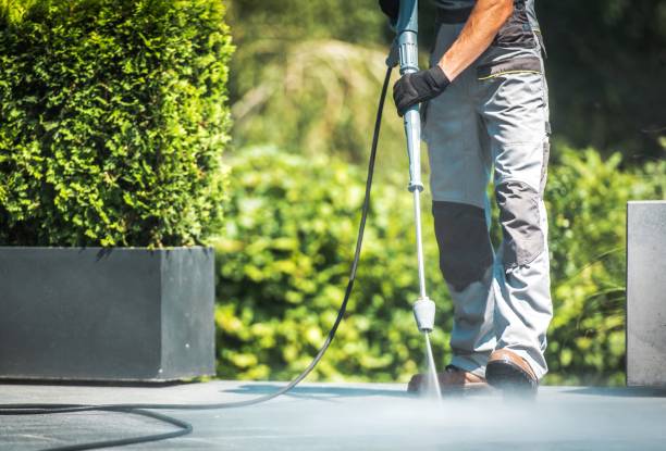 Best Driveway Pressure Washing  in Orlando, FL